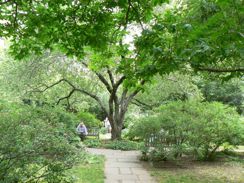 Greenwich Village: Jardin dans Greenwich Village 5